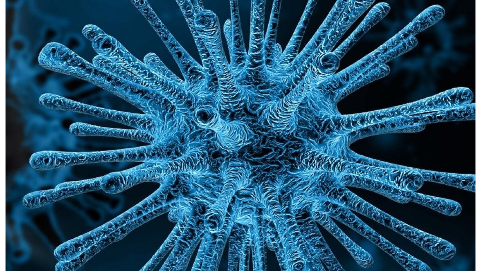 Corona maatregelen vanaf 14-12-2020