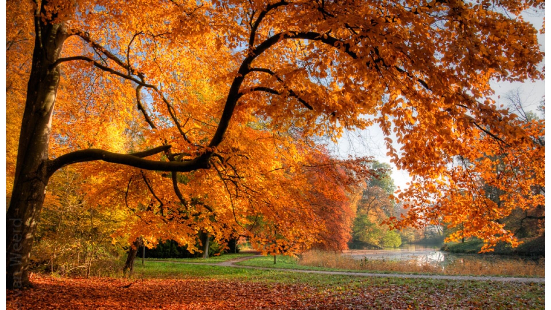 Sporthallen in de herfstvakantie