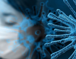 Foto bij !!!AFGELAST: Jeugdactiviteit Preston Palace! AFGELAST!!!