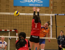 Foto bij Rivo D1 - Reflex