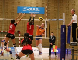 Foto bij Rivo D1 - Reflex