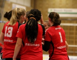 Foto bij Rivo D1 - Reflex