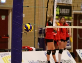 Foto bij Rivo D1 - Reflex