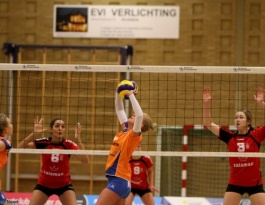 Foto bij Rivo D1 - Reflex