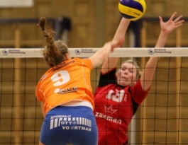 Foto bij Rivo D1 - Reflex