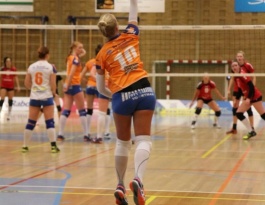 Foto bij Rivo D1 - Reflex