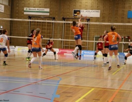 Foto bij Rivo D1 - Reflex