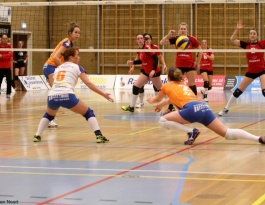 Foto bij Rivo D1 - Reflex