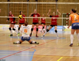 Foto bij Rivo D1 - Reflex