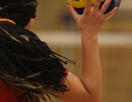 Foto bij Rivo D1 - Reflex